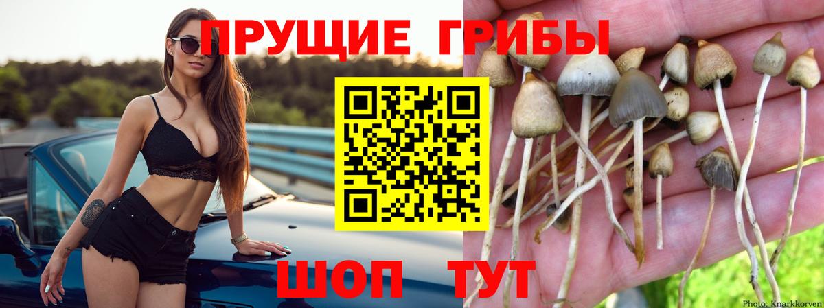Галлюциногенные грибы мухоморы  Вход с VPN  Павловский Посад 